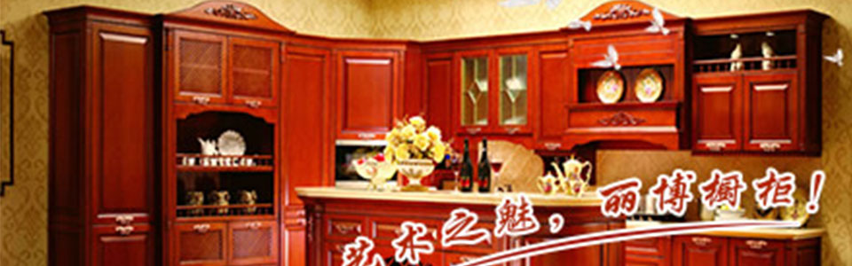 丽博橱柜 形象图