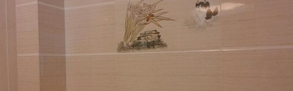 伊力萨陶瓷形象图