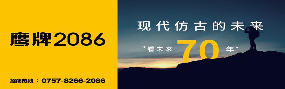 鹰牌2086现代砖形象图