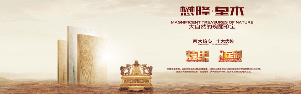 懋隆瓷砖 形象图