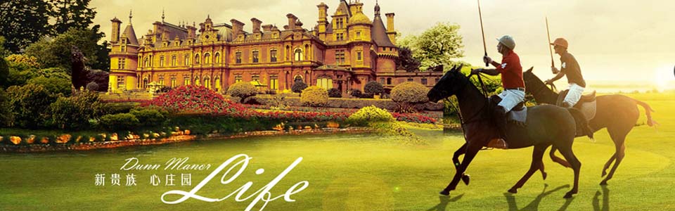 芒果瓷砖形象图